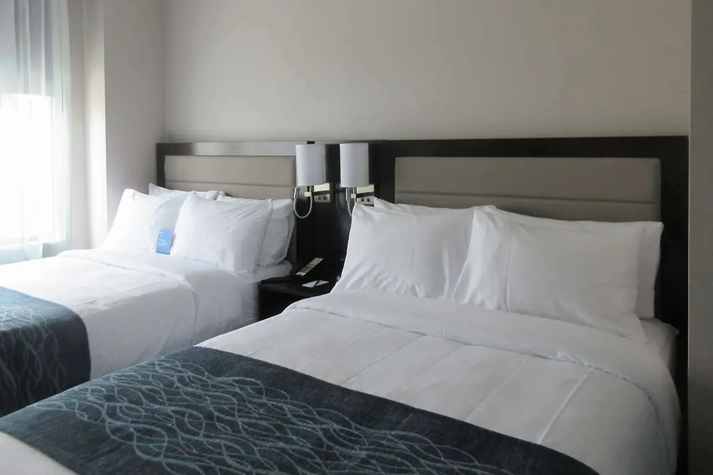 Comfort Inn Prospect Park-Brooklyn New York United States